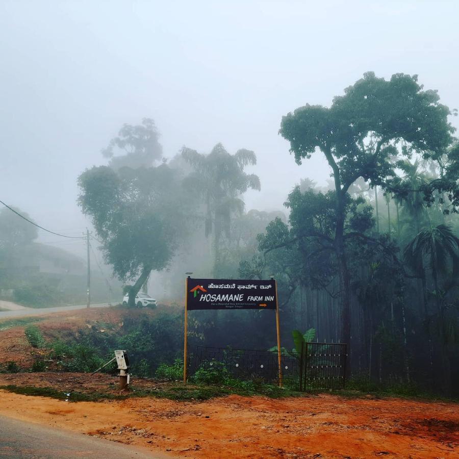 Hosamane Farm Inn Sringeri Exterior photo