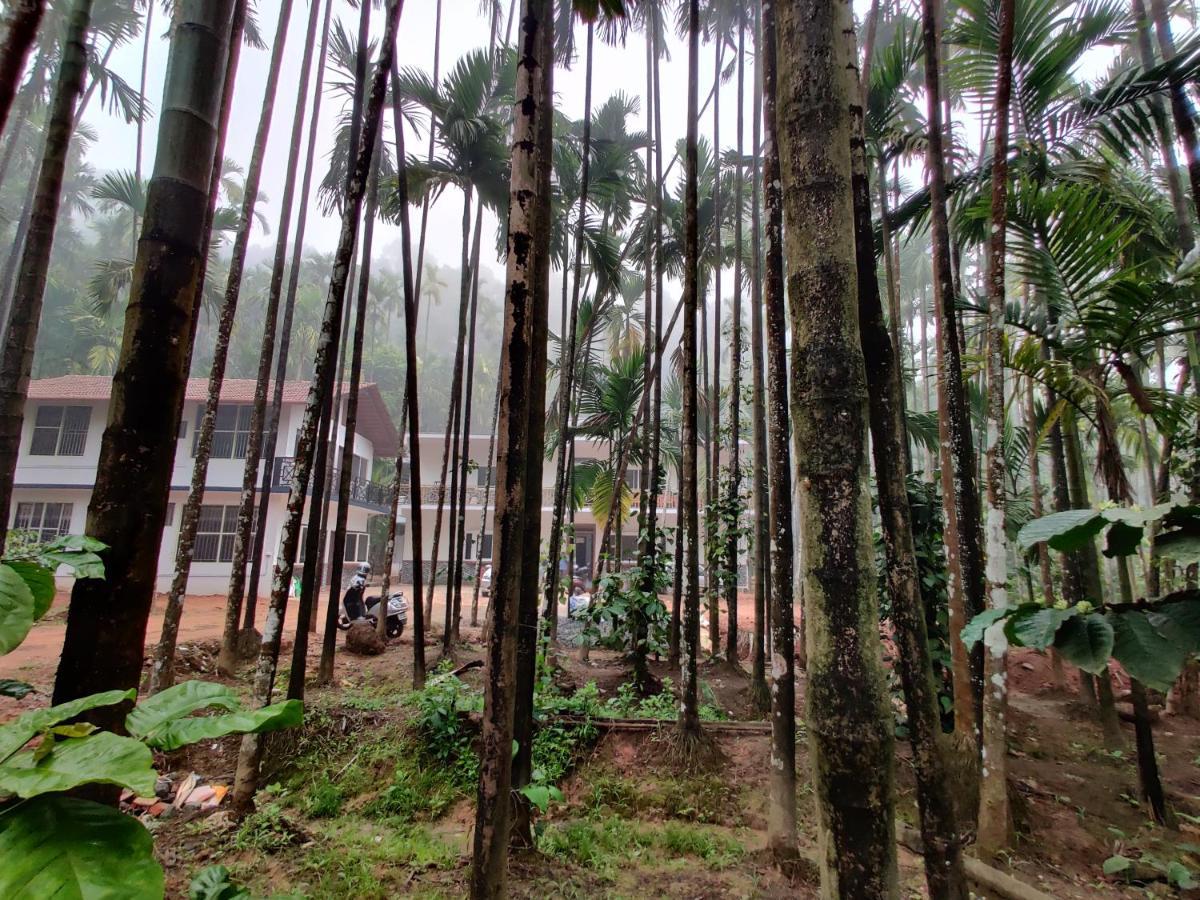 Hosamane Farm Inn Sringeri Exterior photo