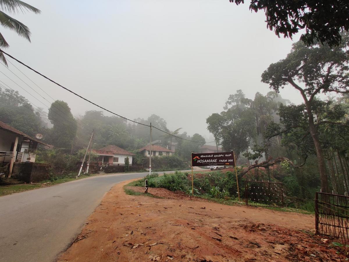 Hosamane Farm Inn Sringeri Exterior photo