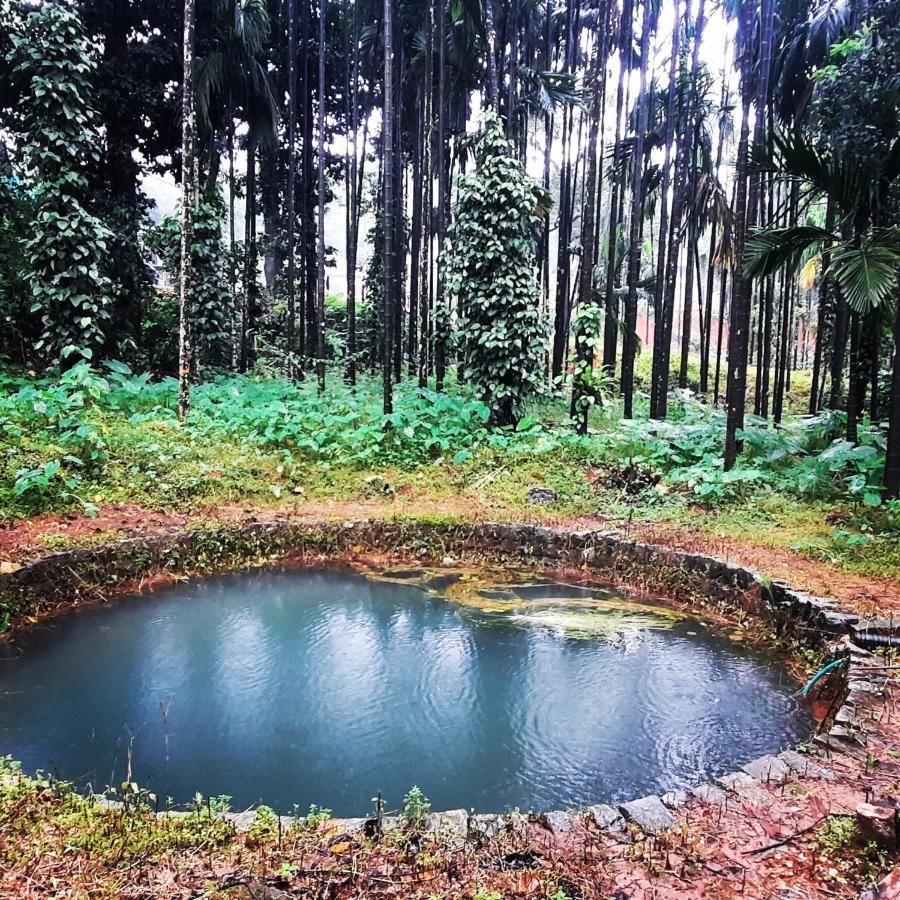 Hosamane Farm Inn Sringeri Exterior photo